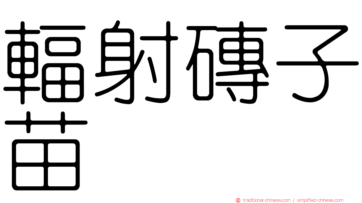 輻射磚子苗