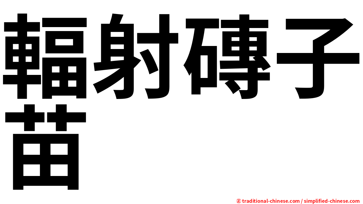 輻射磚子苗