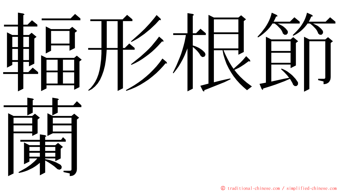 輻形根節蘭 ming font