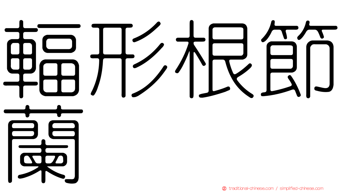 輻形根節蘭