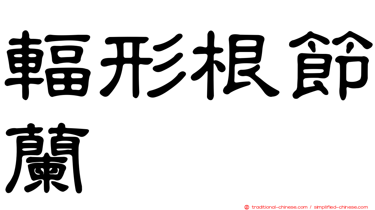 輻形根節蘭
