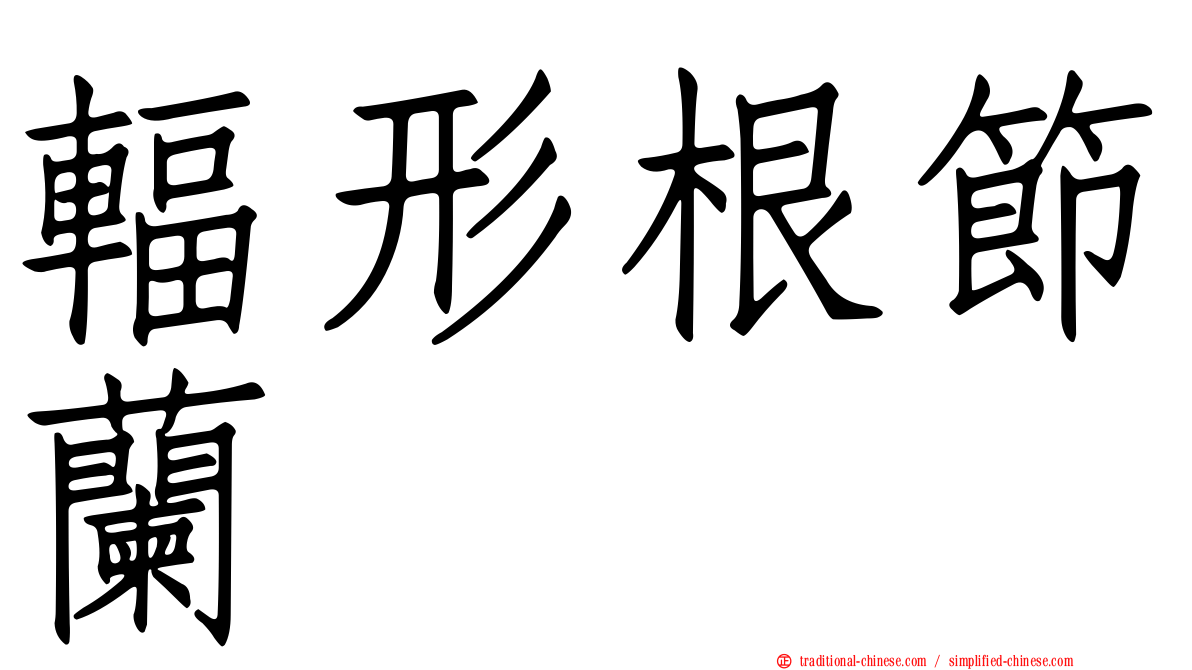 輻形根節蘭