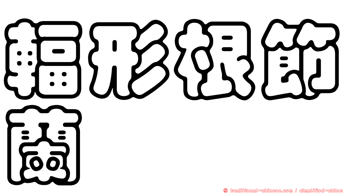 輻形根節蘭