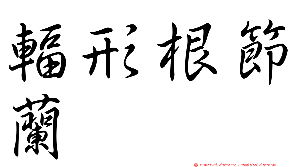 輻形根節蘭