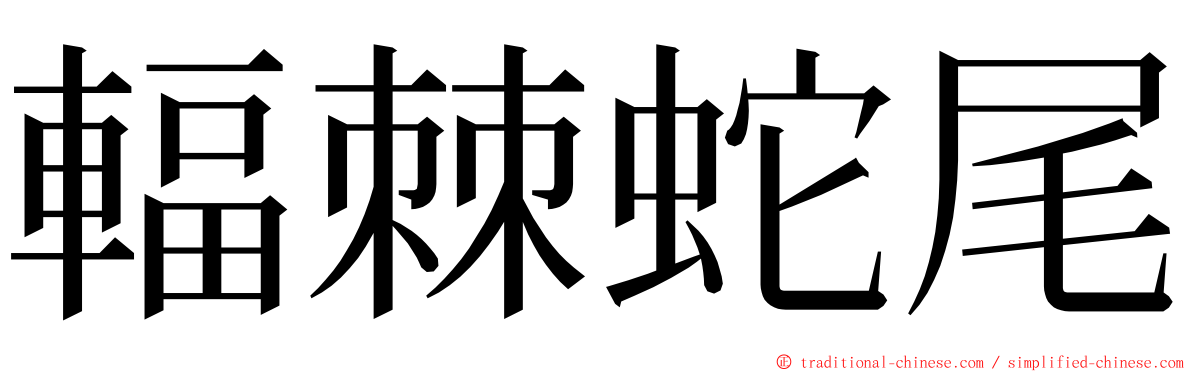 輻棘蛇尾 ming font