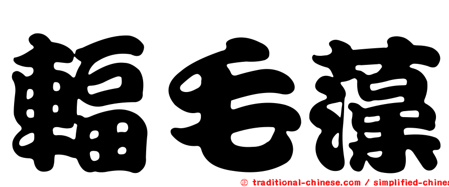 輻毛藻