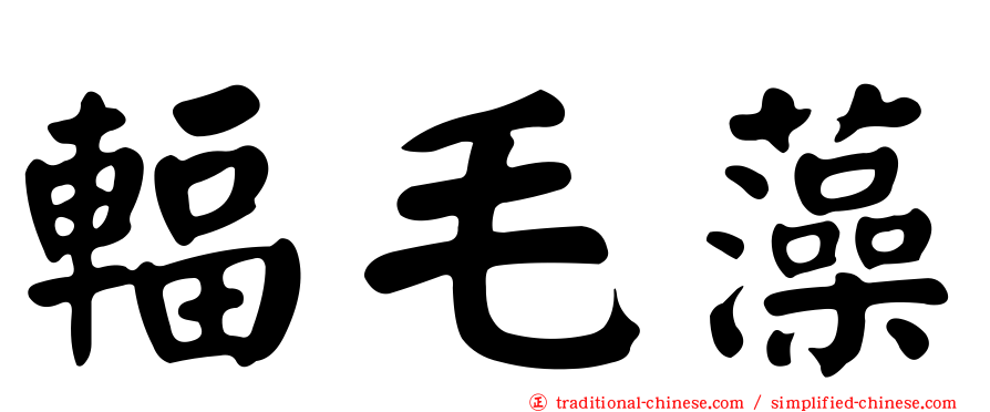輻毛藻