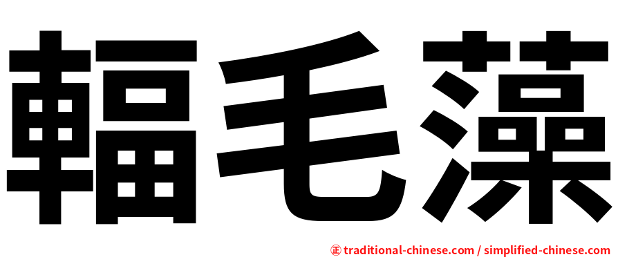 輻毛藻