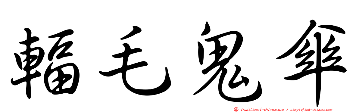 輻毛鬼傘