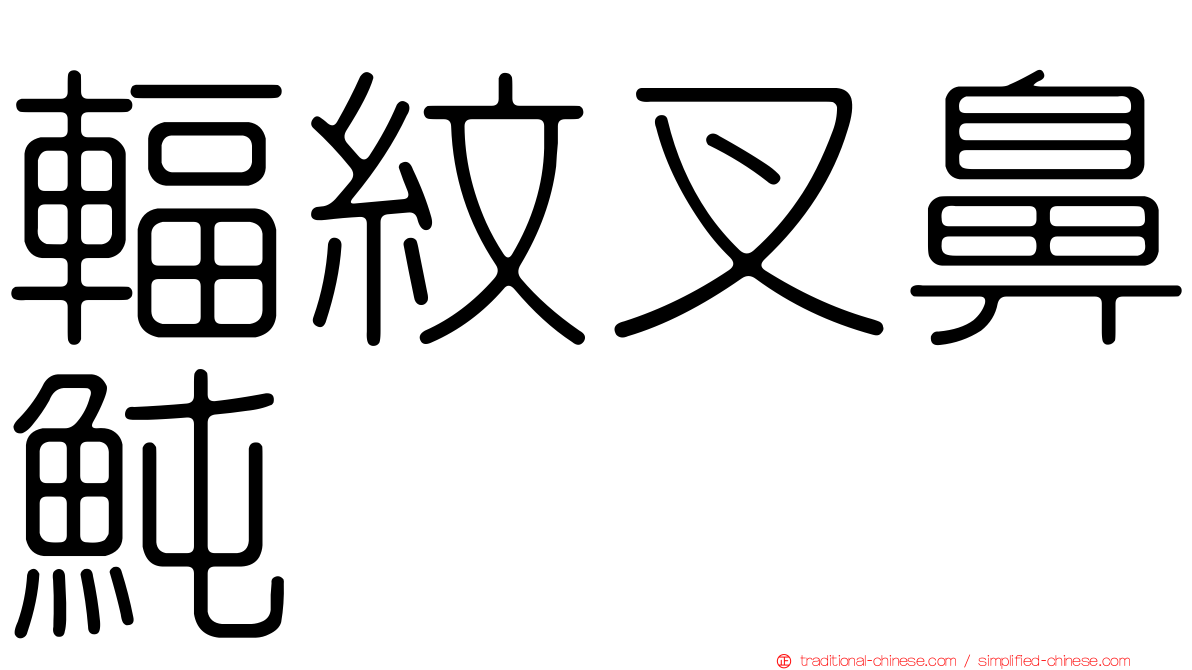 輻紋叉鼻魨