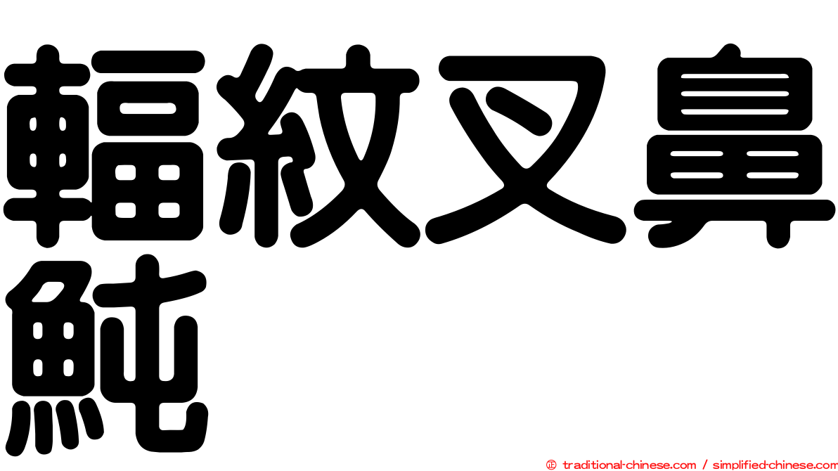 輻紋叉鼻魨