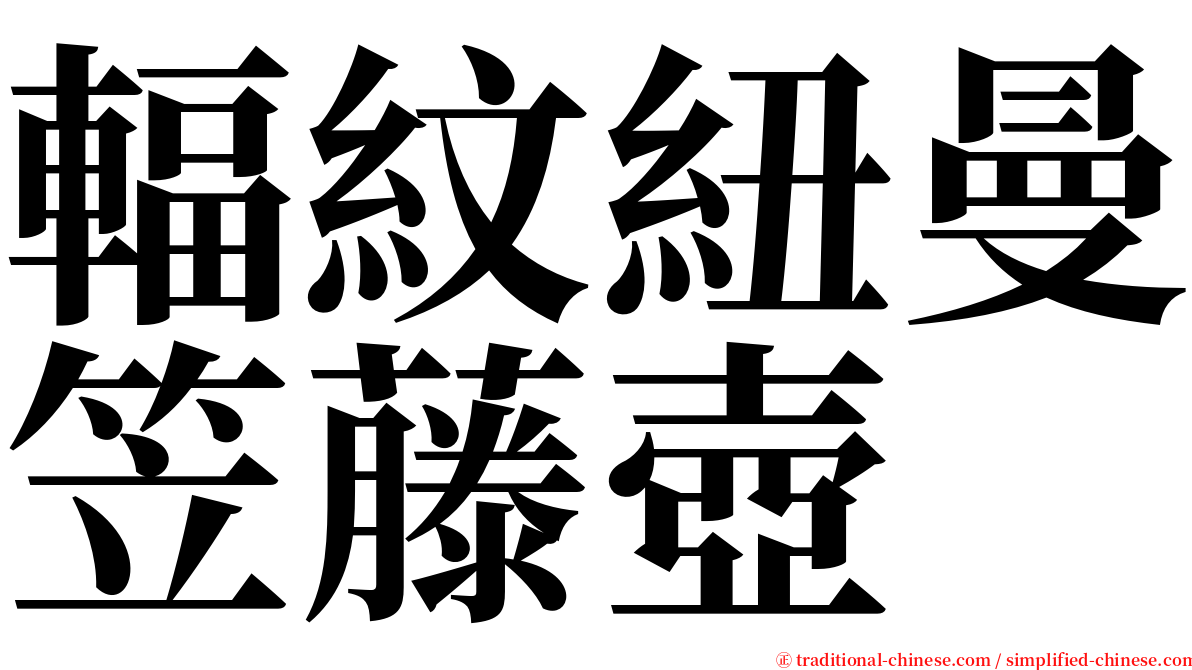 輻紋紐曼笠藤壺 serif font