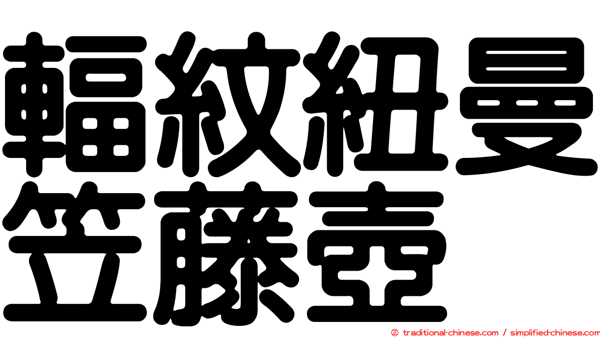 輻紋紐曼笠藤壺