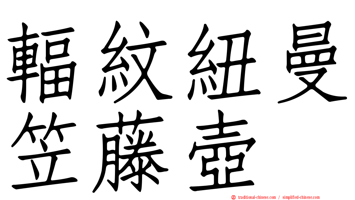 輻紋紐曼笠藤壺