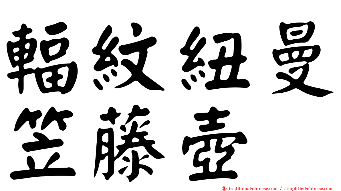 輻紋紐曼笠藤壺