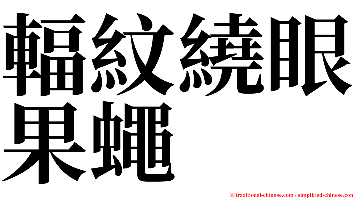 輻紋繞眼果蠅 serif font