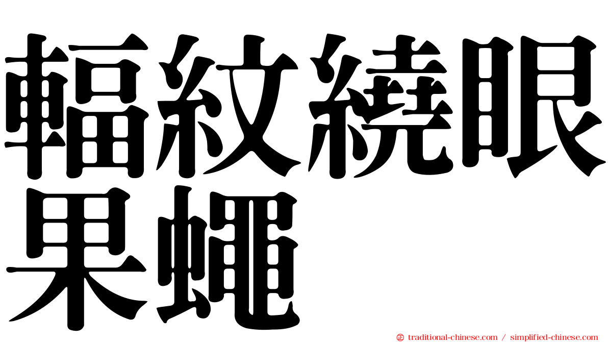 輻紋繞眼果蠅