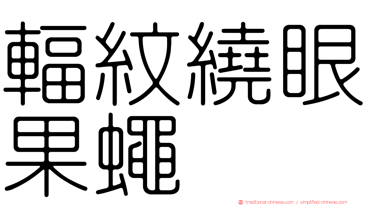 輻紋繞眼果蠅
