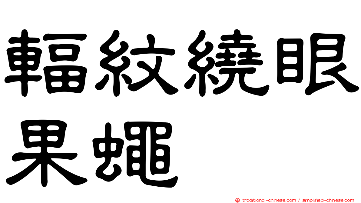 輻紋繞眼果蠅