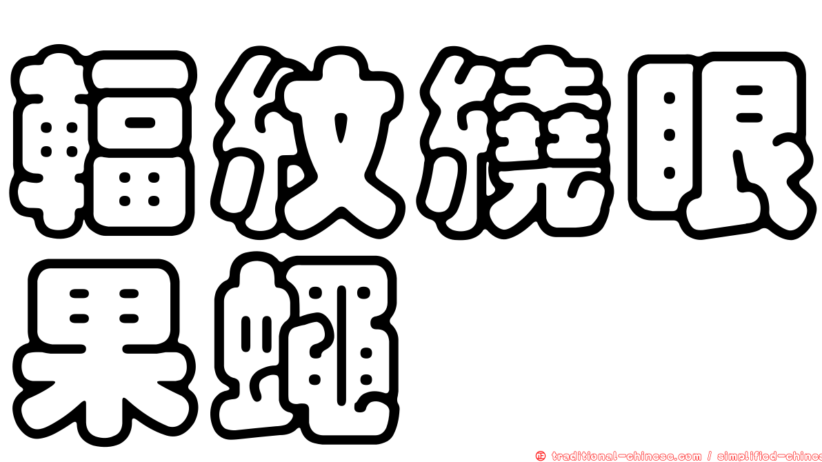 輻紋繞眼果蠅