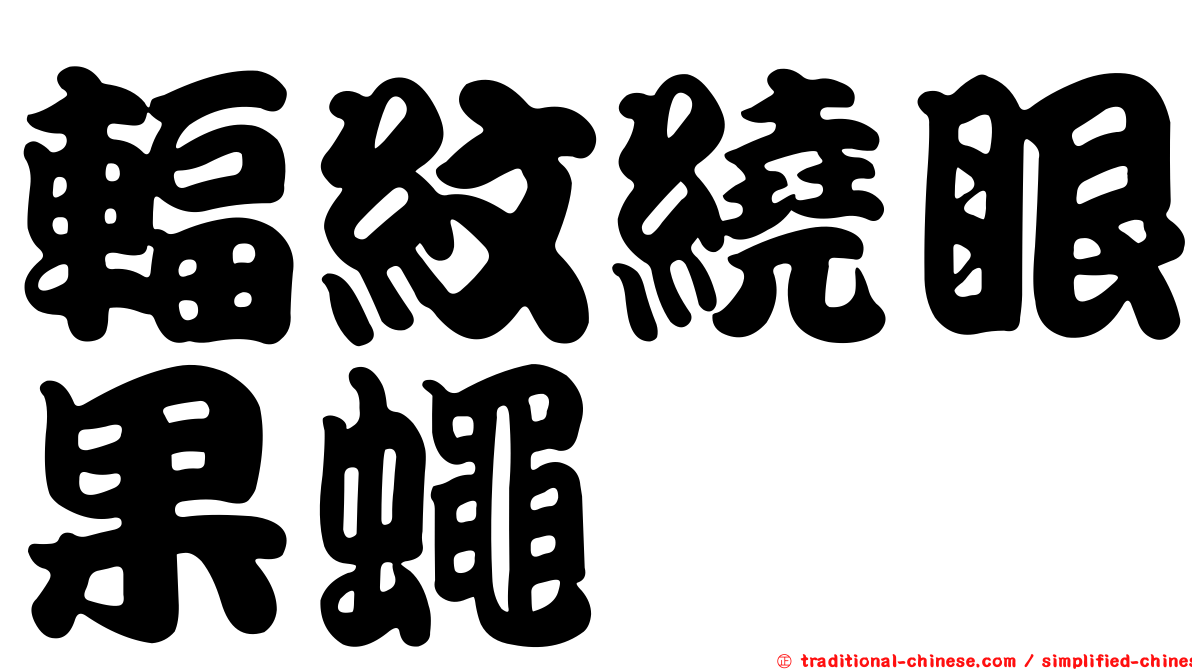輻紋繞眼果蠅
