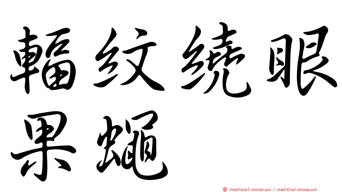 輻紋繞眼果蠅