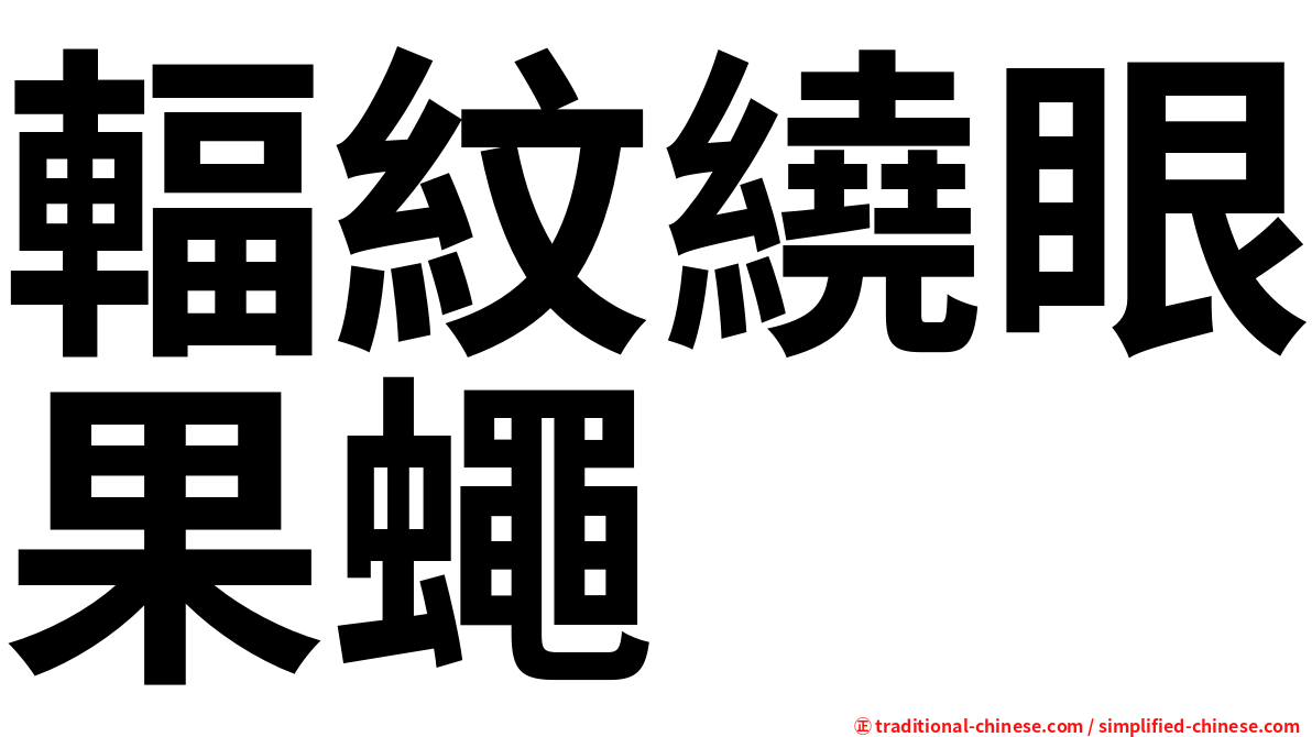 輻紋繞眼果蠅