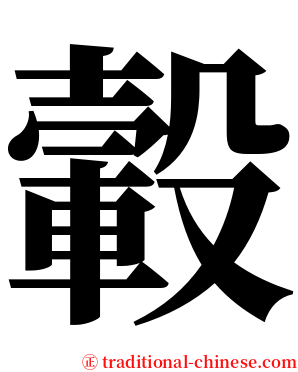 轂 serif font