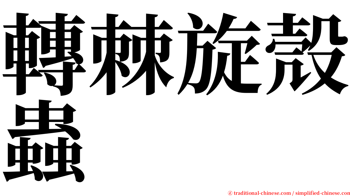 轉棘旋殼蟲 serif font