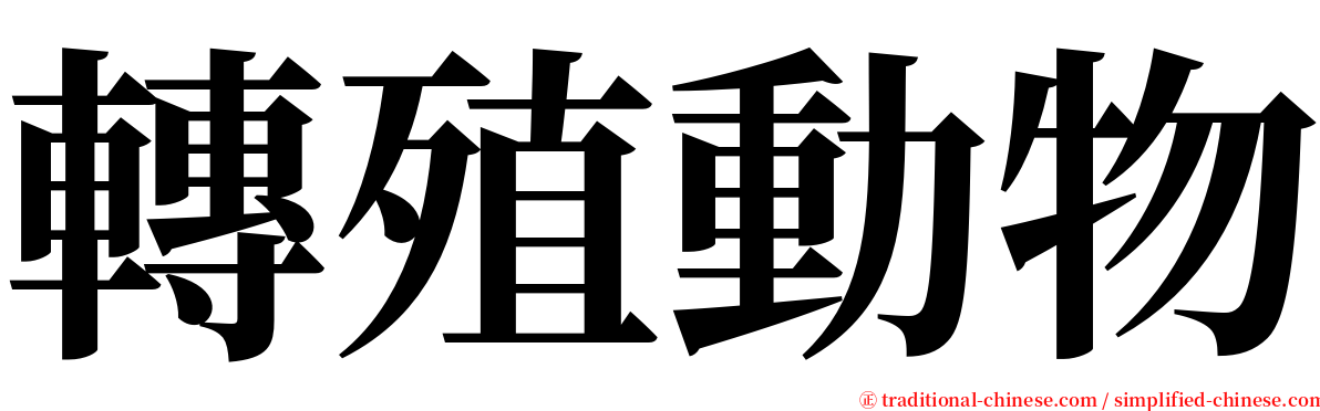 轉殖動物 serif font