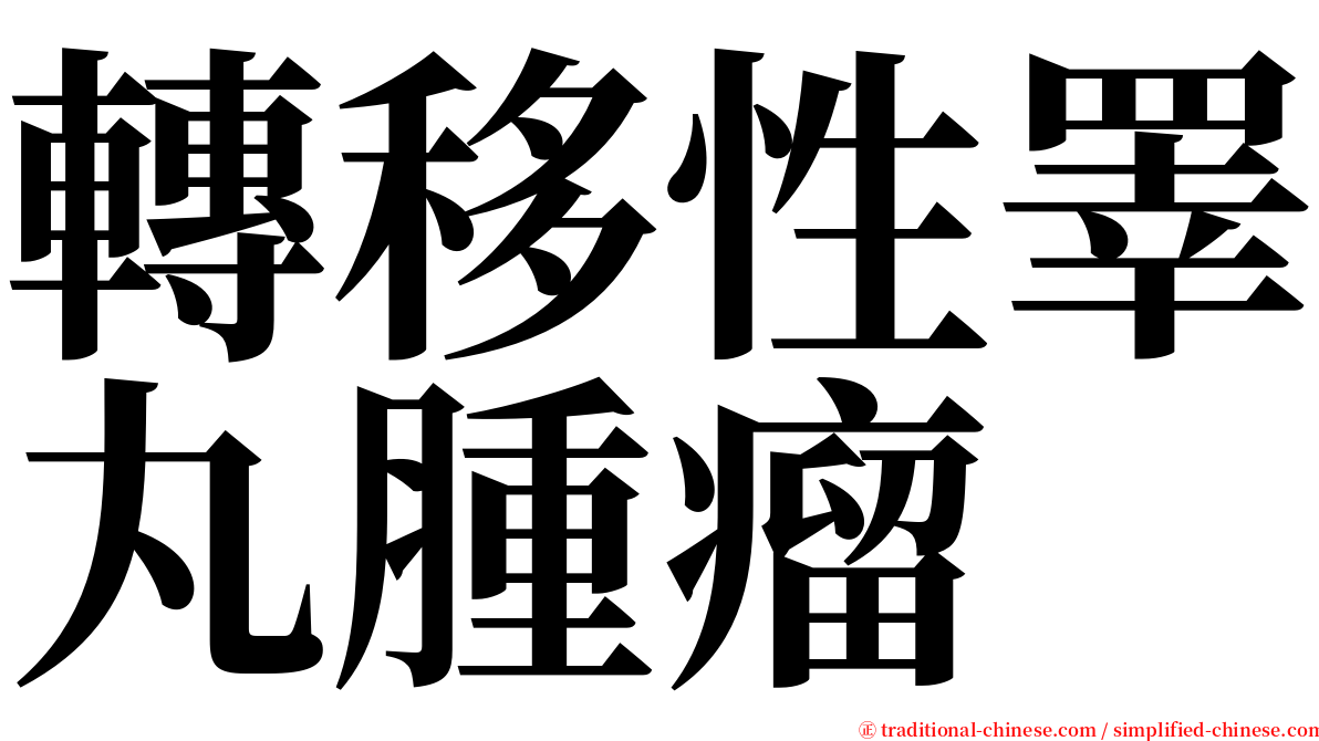 轉移性睪丸腫瘤 serif font