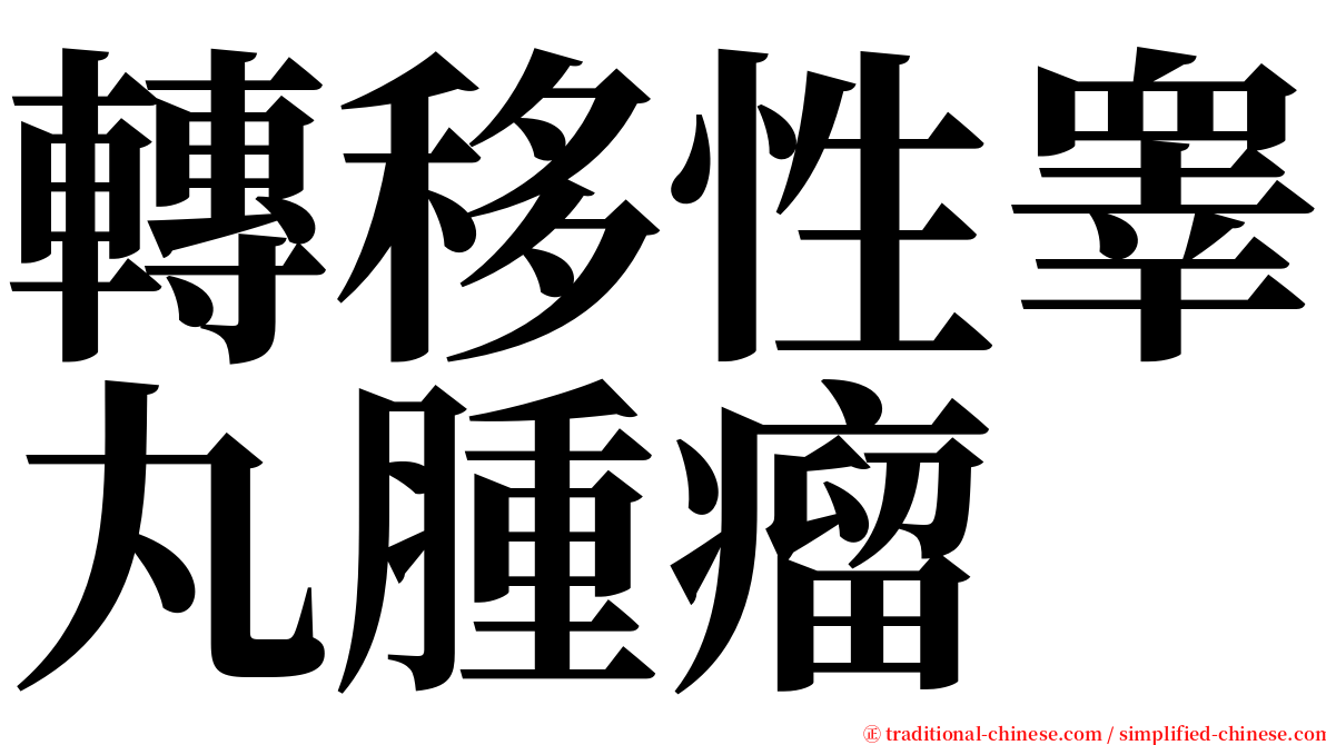 轉移性睾丸腫瘤 serif font