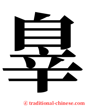 辠 serif font