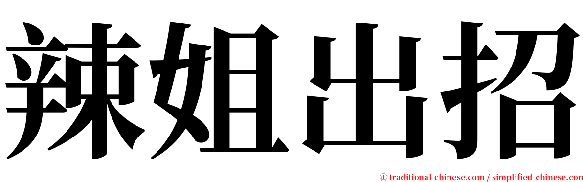 辣姐出招 serif font