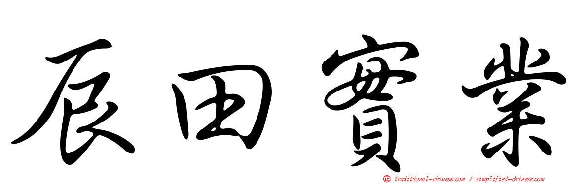 辰田實業