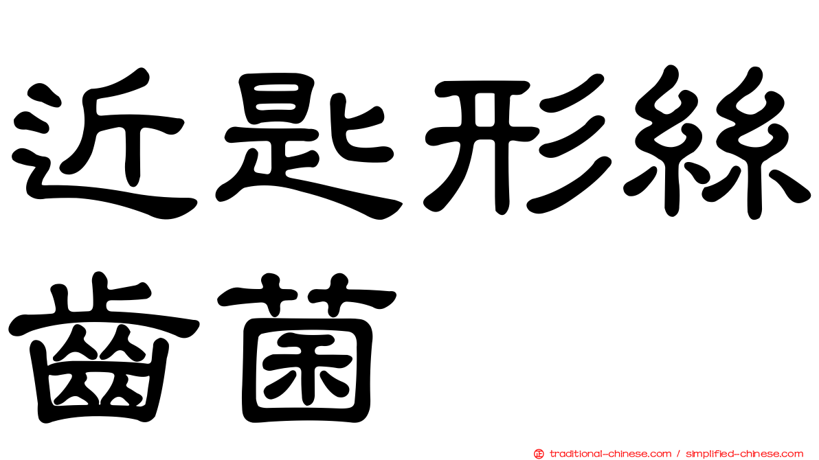 近匙形絲齒菌