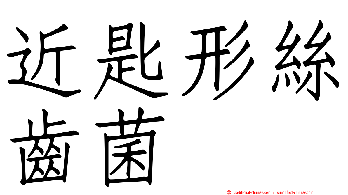 近匙形絲齒菌