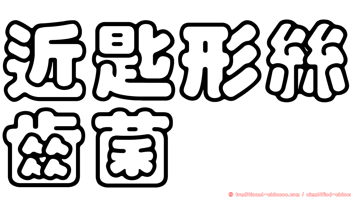 近匙形絲齒菌