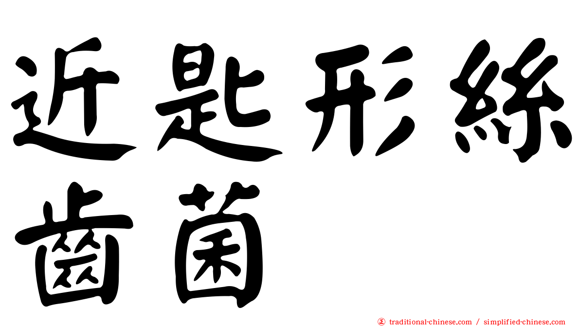近匙形絲齒菌