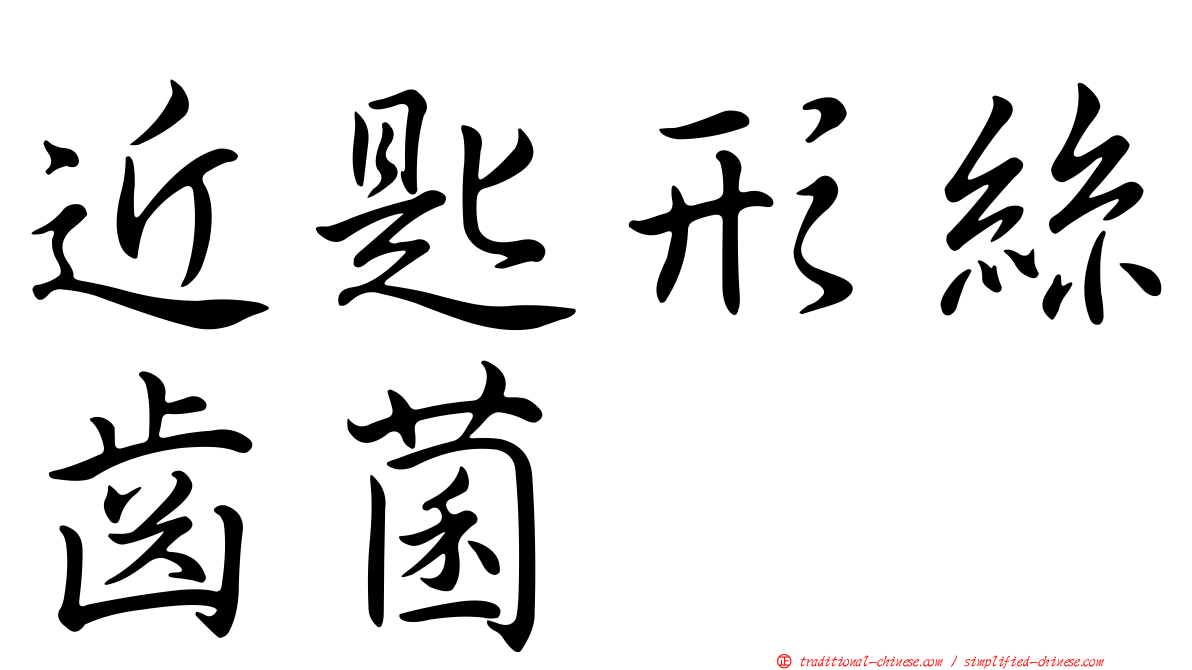 近匙形絲齒菌