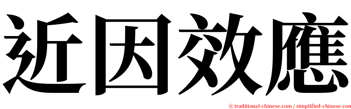 近因效應 serif font