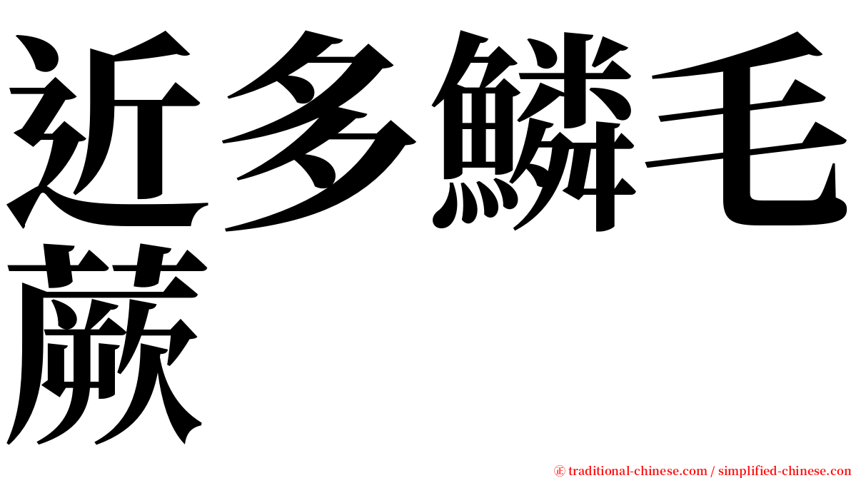 近多鱗毛蕨 serif font