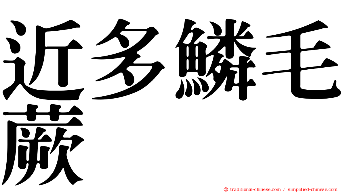 近多鱗毛蕨