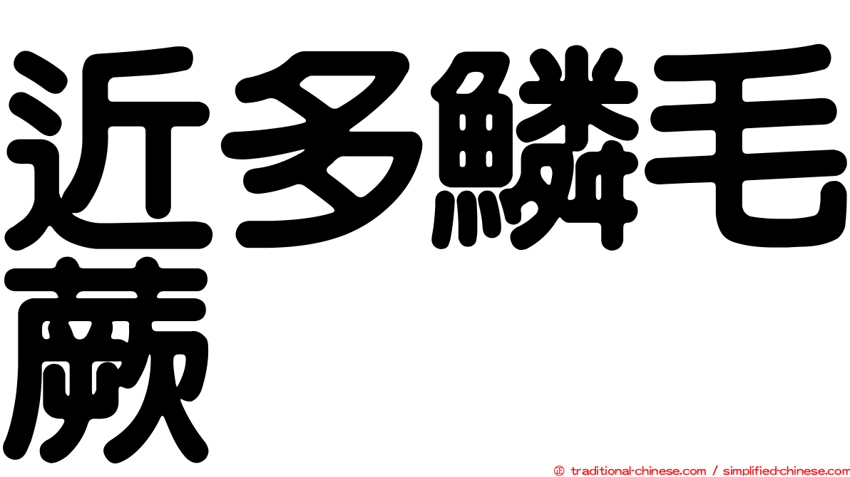 近多鱗毛蕨