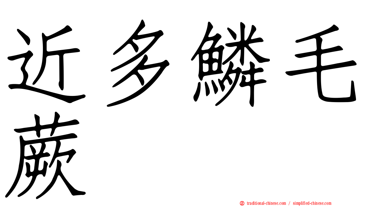 近多鱗毛蕨