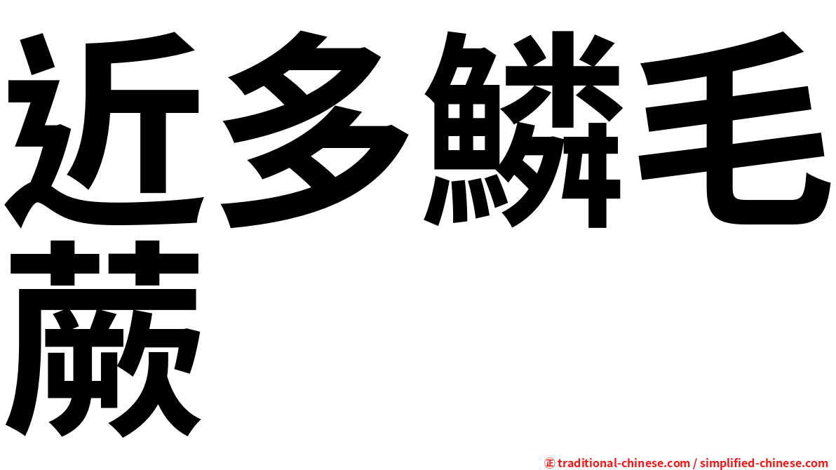 近多鱗毛蕨
