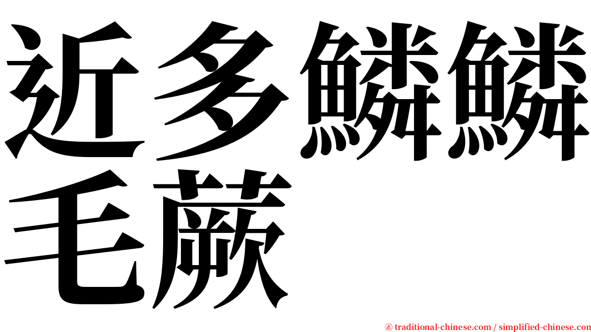 近多鱗鱗毛蕨 serif font