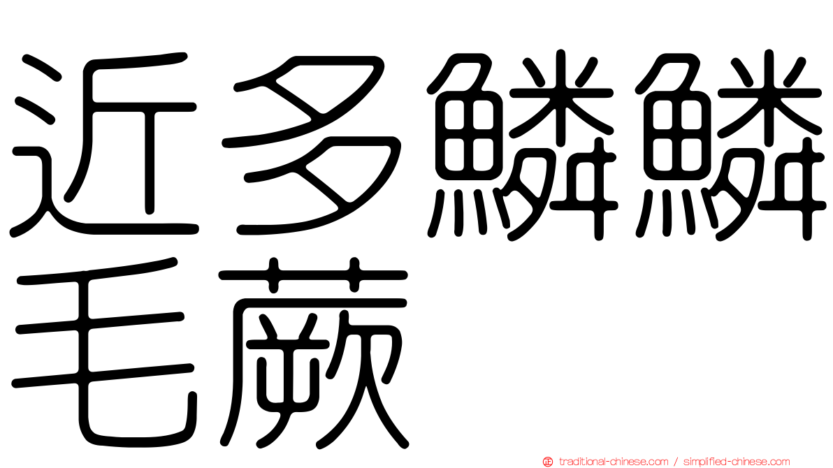 近多鱗鱗毛蕨