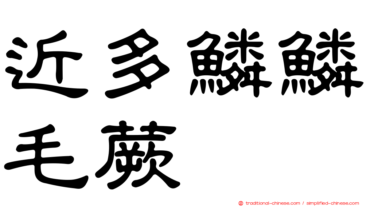 近多鱗鱗毛蕨