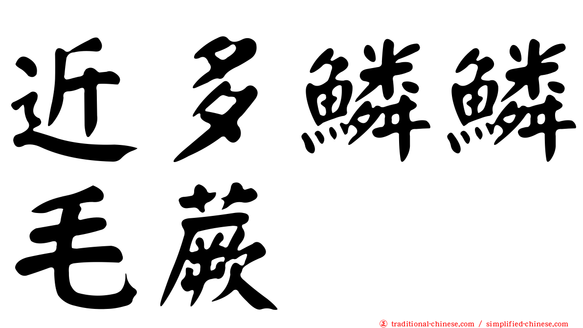 近多鱗鱗毛蕨